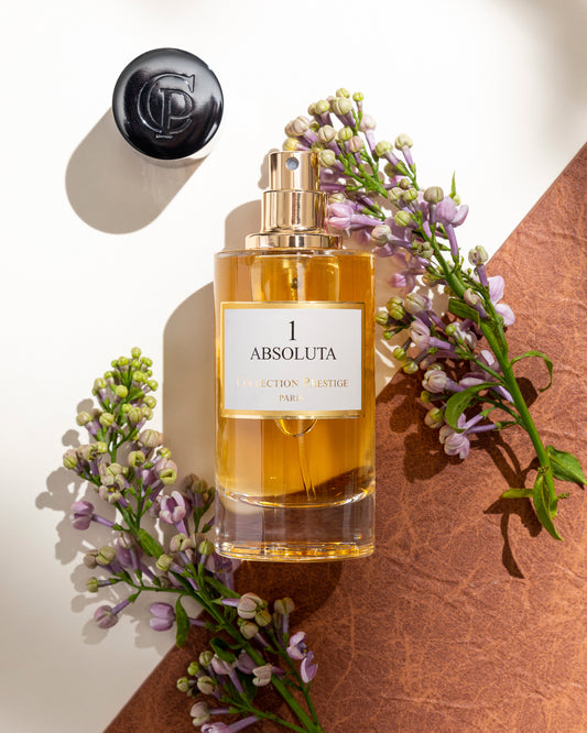 Collection Prestige Absoluta 1