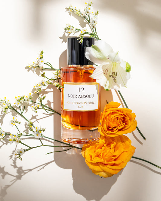 Collection Prestige 12 Noir Absolu