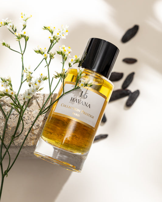 Collection Prestige 16 Havana